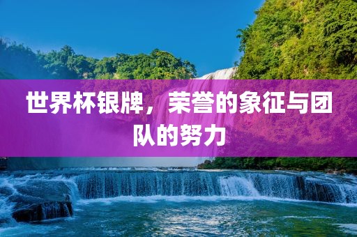 世界杯银牌,荣誉的象征与团队的努力马鞍山市佳霄机械制造有限公司